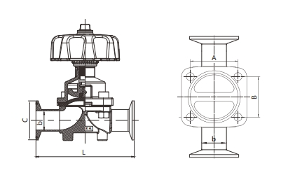 Cavity-Free Sanitary Diaphragm Valve | SS316L | Autoclavable | EPDM+PTFE | DN15-DN50 image